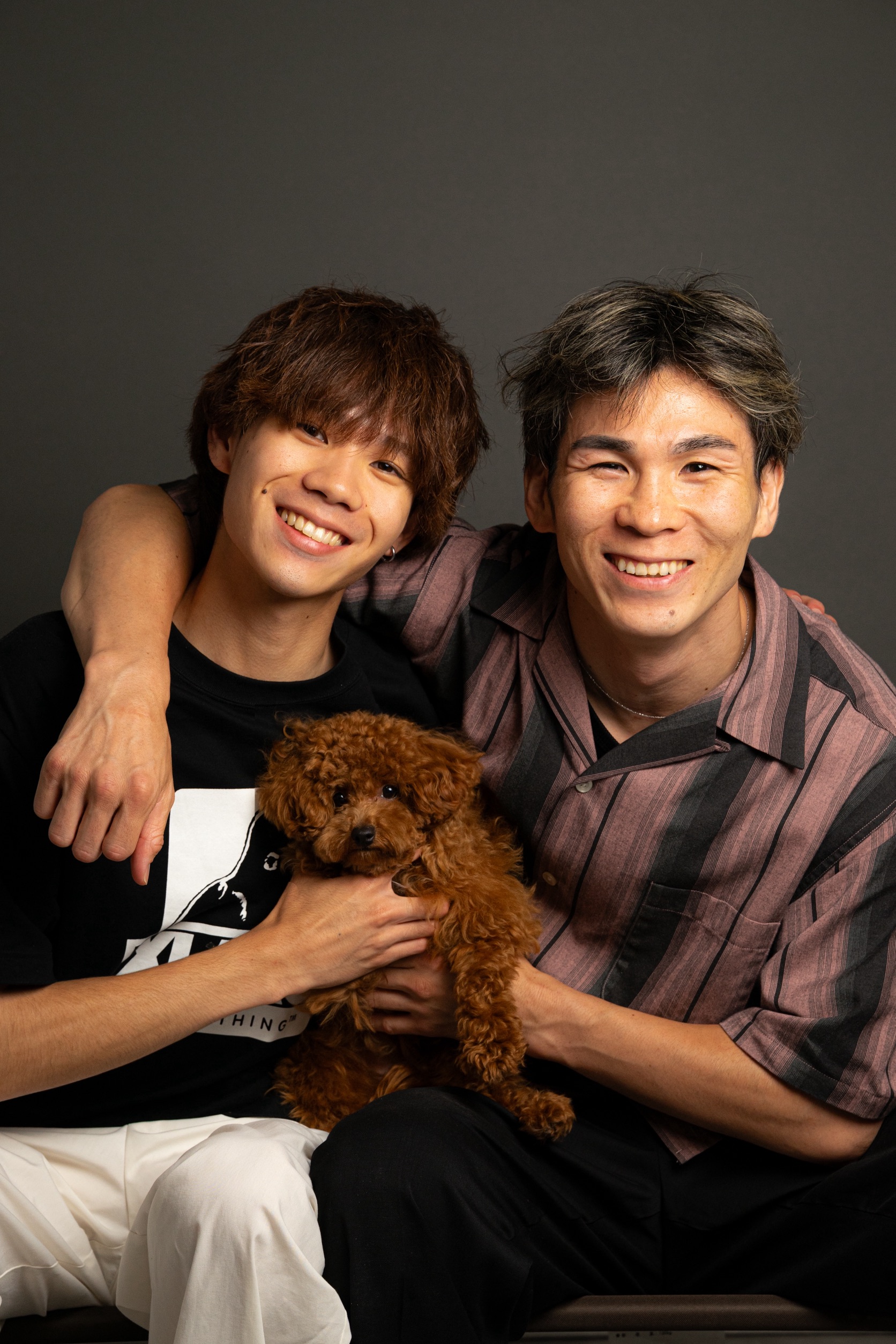 Petta Paws トップ